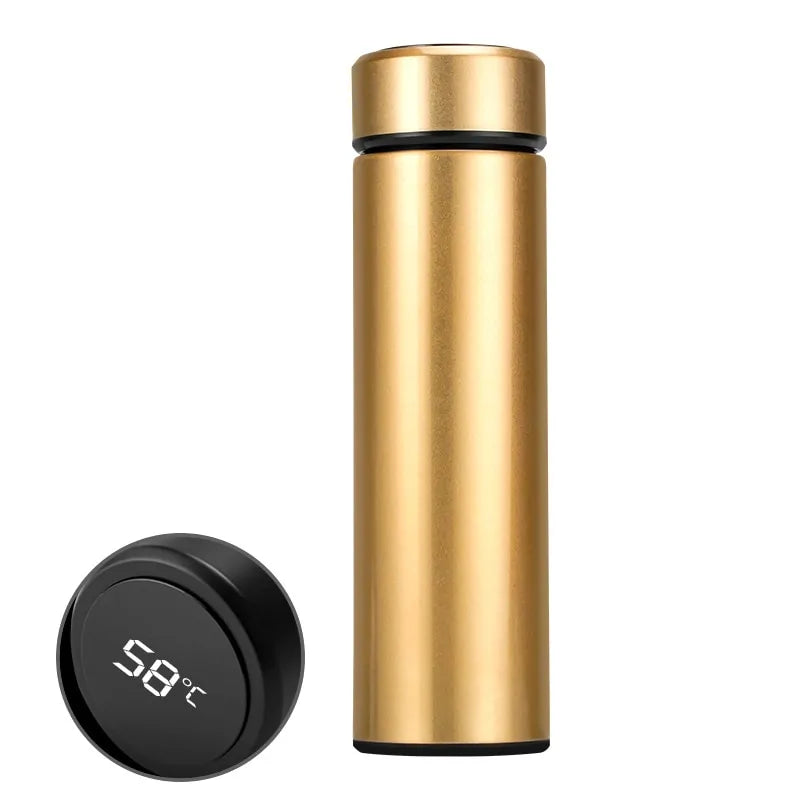 LED Temperature Display Thermos Bottle